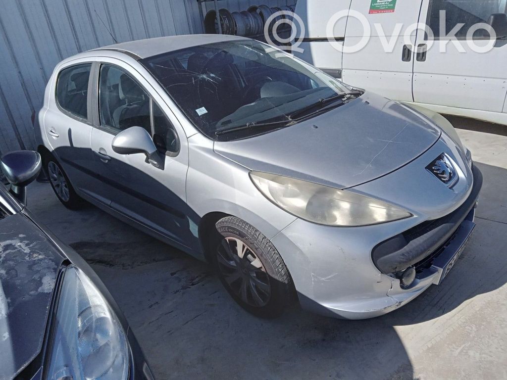 Peugeot 207 Vairo kolonėlė 