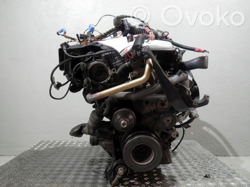 Motor
