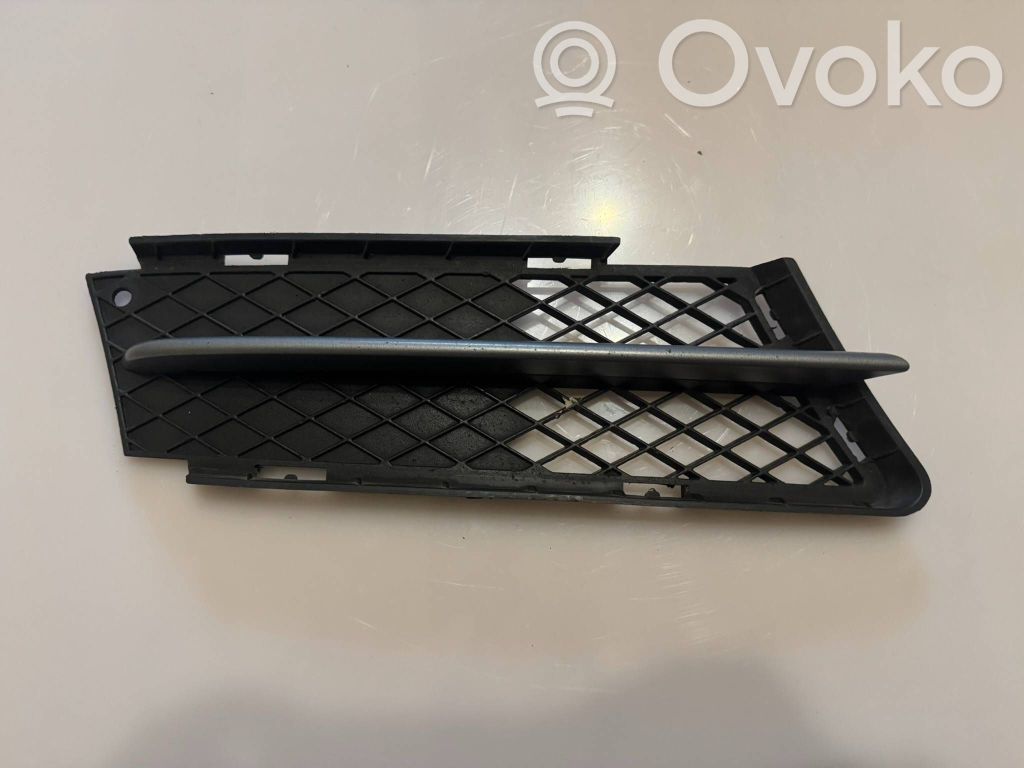 Front bumper lower grill   7134082