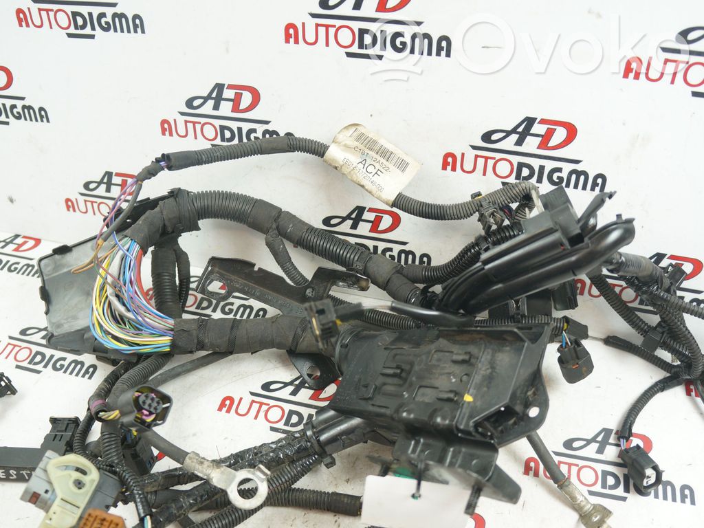 Ford Fiesta Engine installation wiring loom 