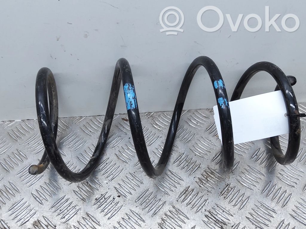 Front coil spring