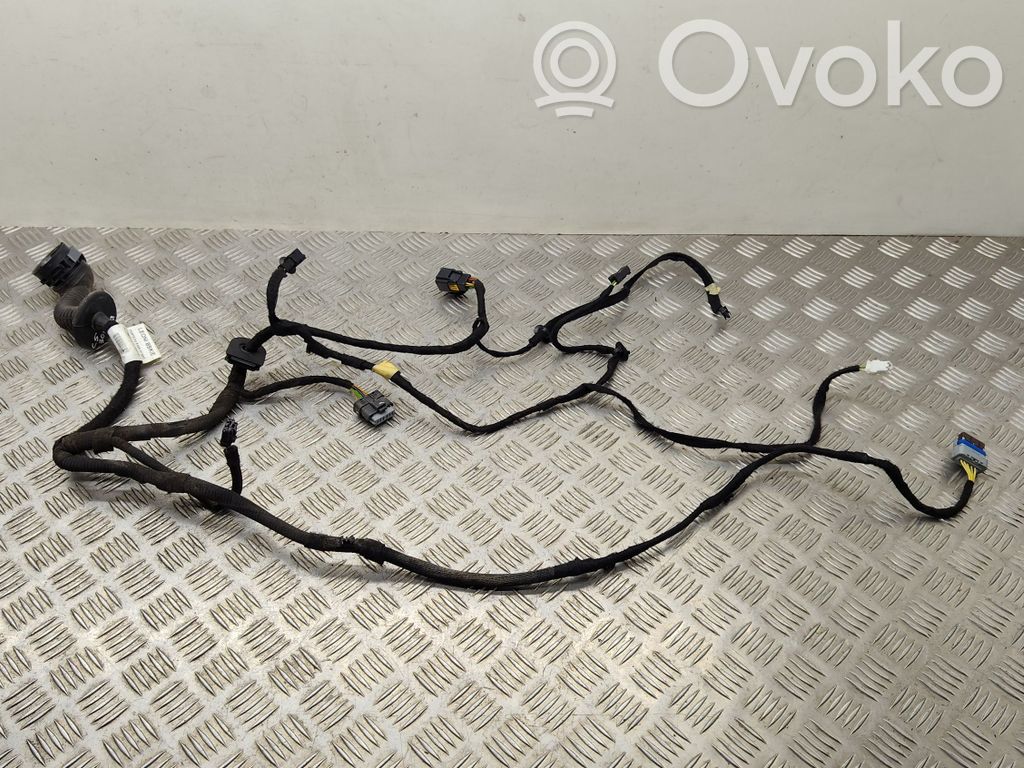 Citroen C5 Cableado de puerta delantera 