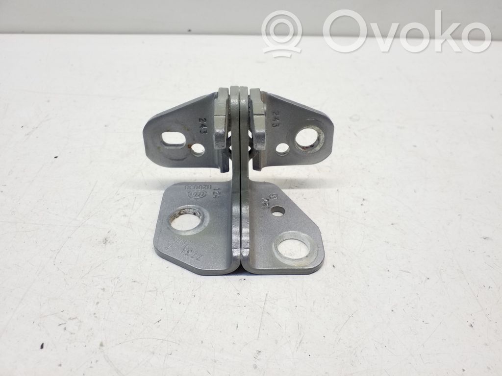 Chrysler Pacifica Front door lower hinge 