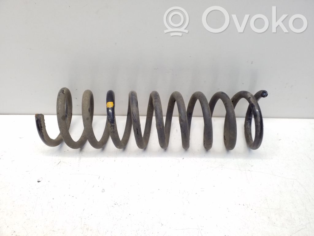 Rear coil spring