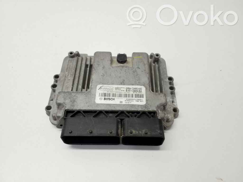 Ford Focus Engine control unit/module 