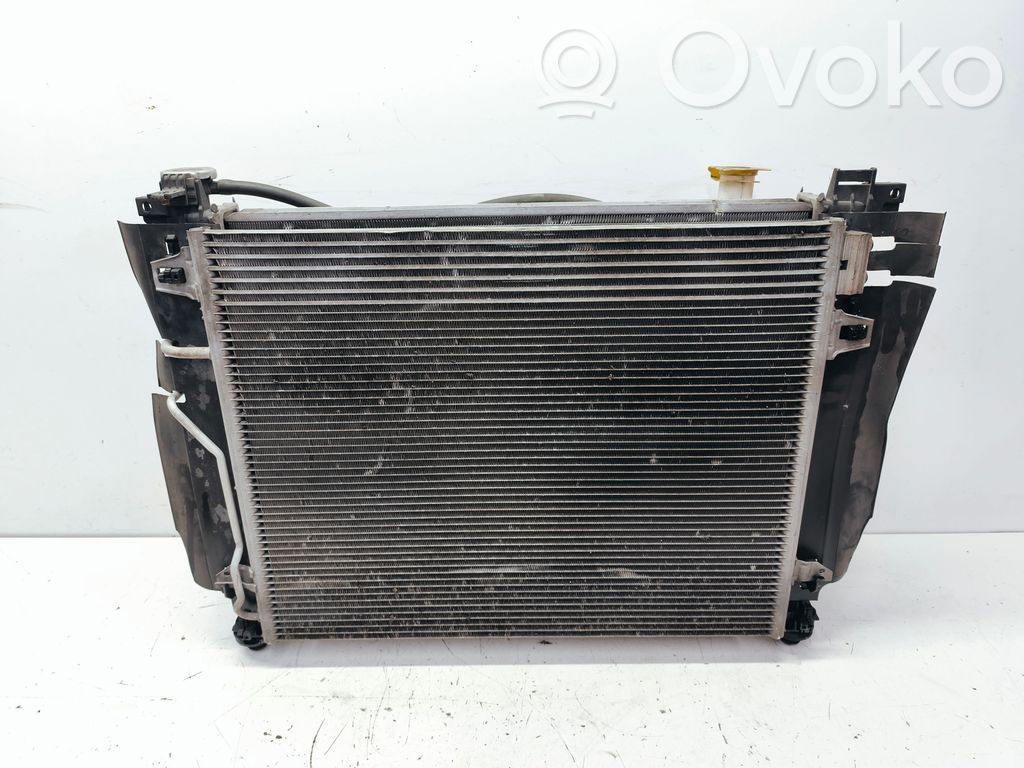 Dodge Grand Caravan Radiator set 