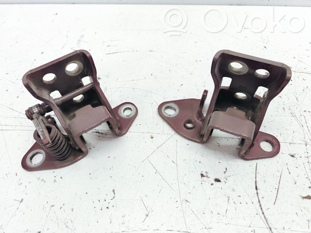 Front door lower hinge   107AF,643AC