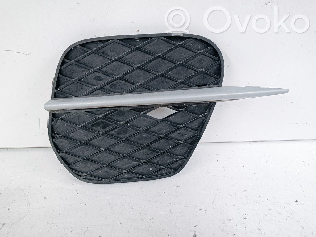 BMW X5M E70 Front bumper lower grill 