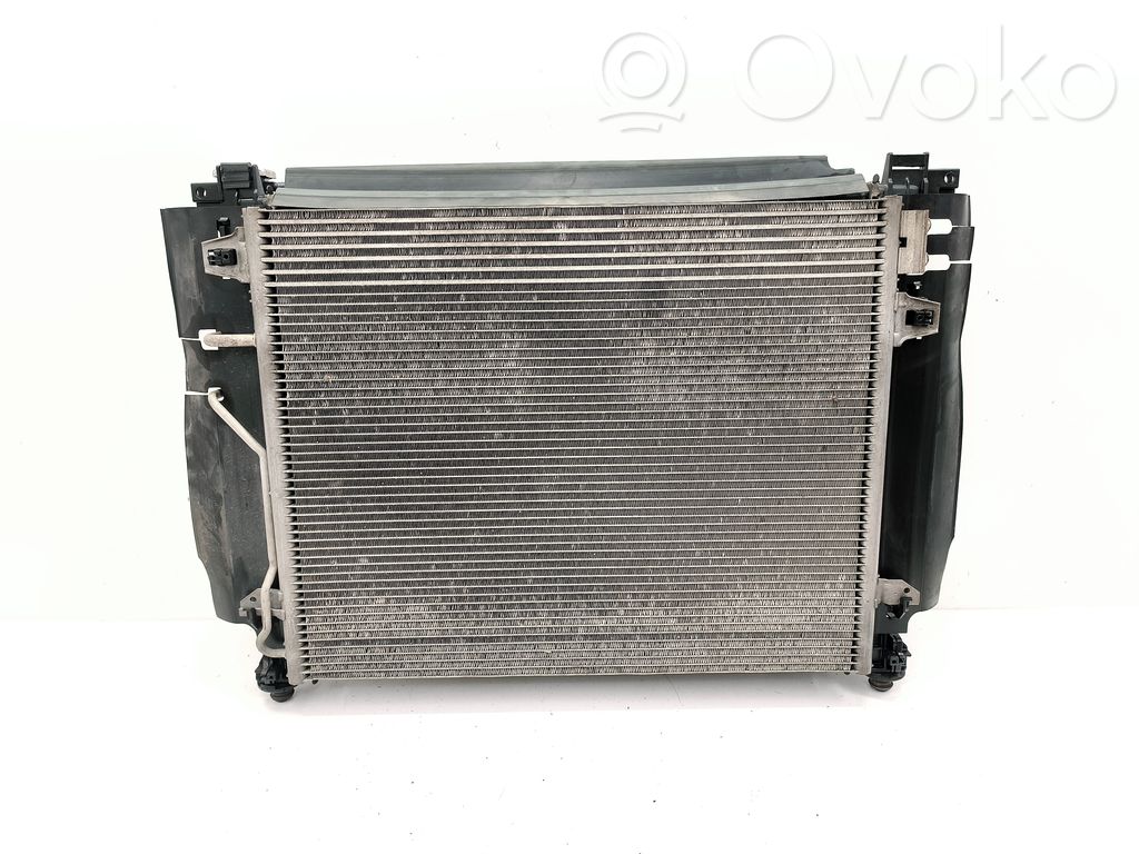Dodge Grand Caravan Radiator set 