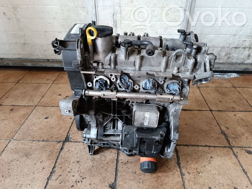 Volkswagen Jetta VI Motor 