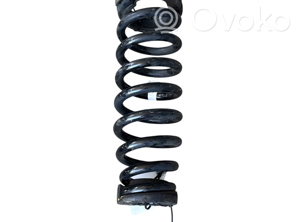 Hyundai Ioniq 5 Rear coil spring 