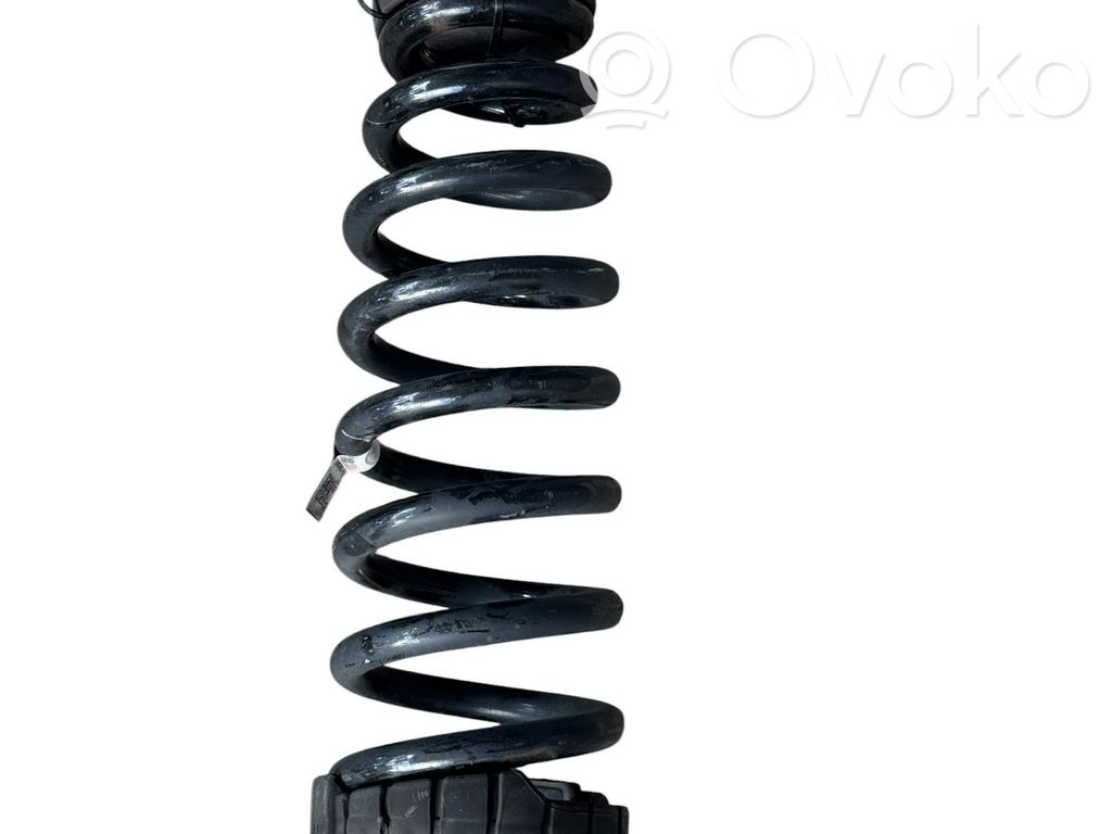 Hyundai Ioniq 5 Rear coil spring 