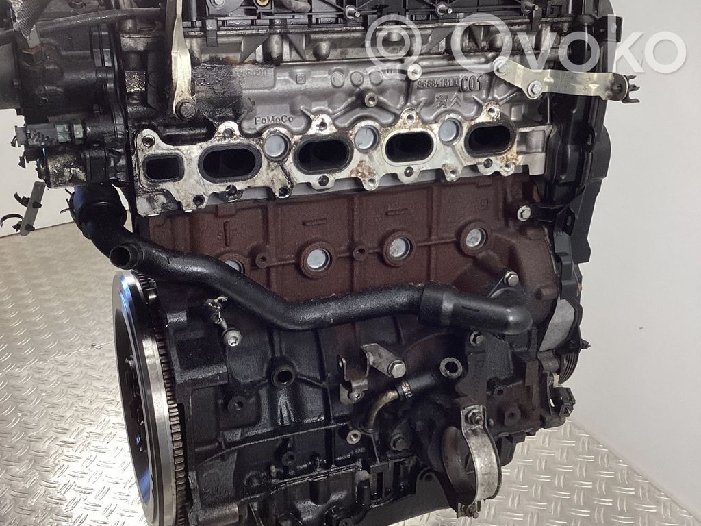 Motor   AV4Q6007DB