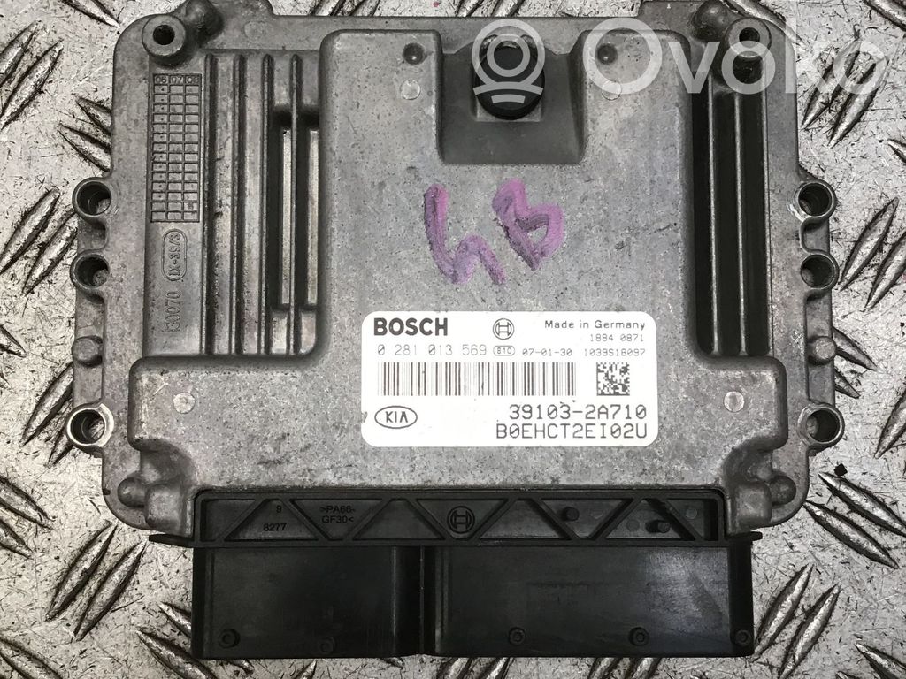 Motorsteuergerät/-modul   0281013569