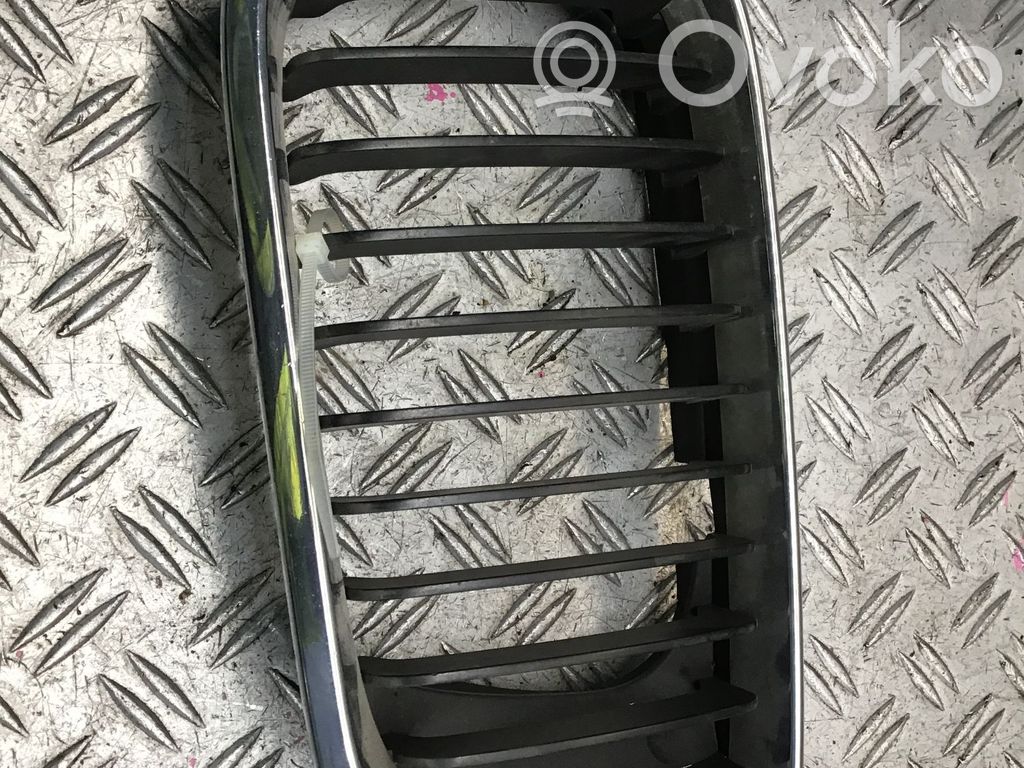 BMW 3 E46 Front bumper lower grill 
