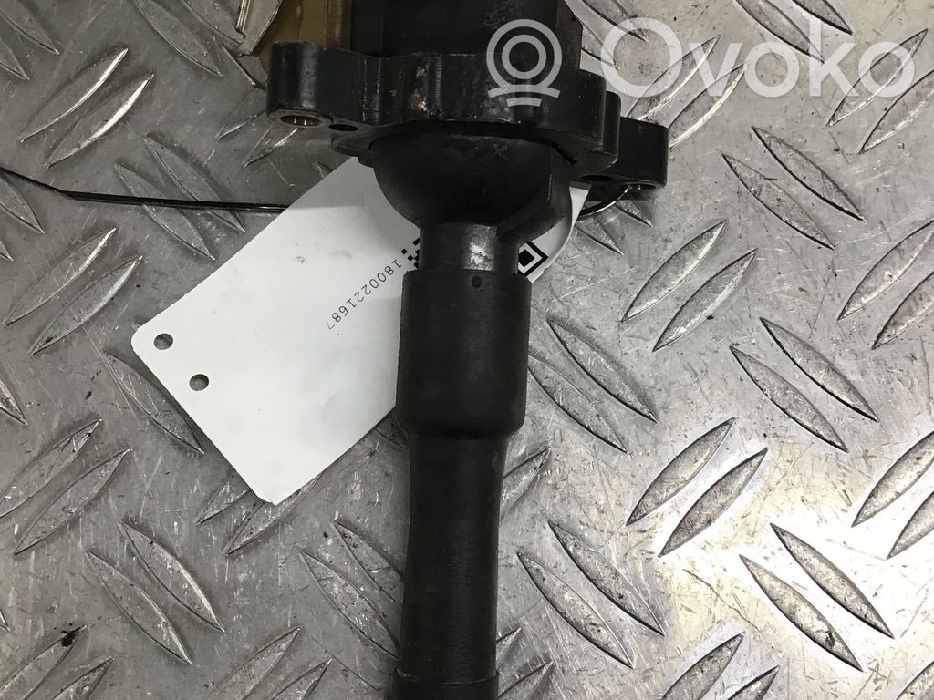Zündspule Zündmodul   1748017