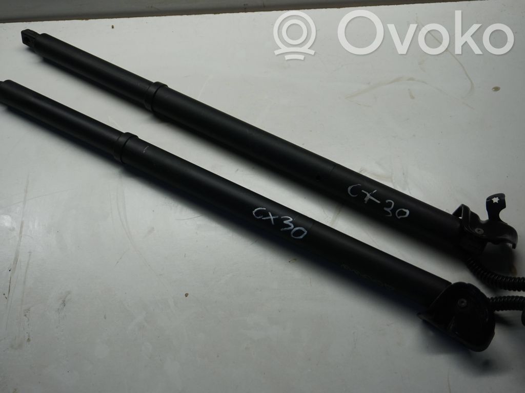 Jeep Compass Tailgate/trunk strut/damper 