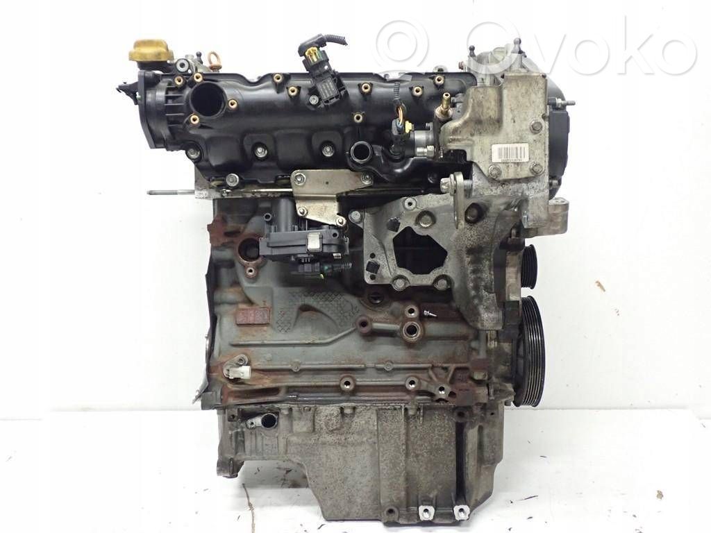 Motor   LMY51