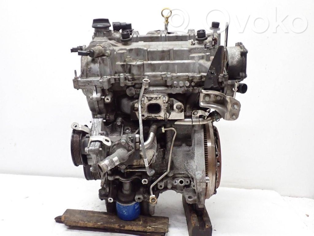 Motor   D10XFL