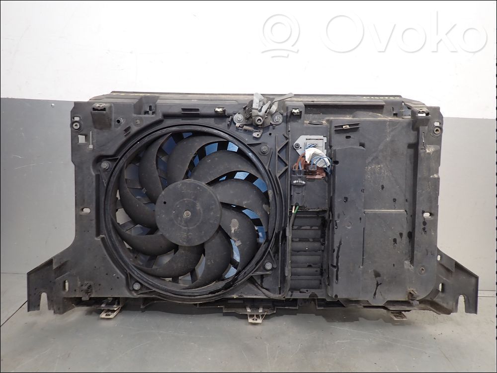 Citroen C5 Radiatoru panelis 