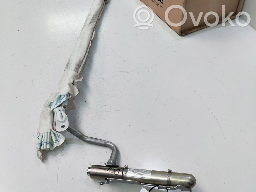 Renault Modus Front door airbag 