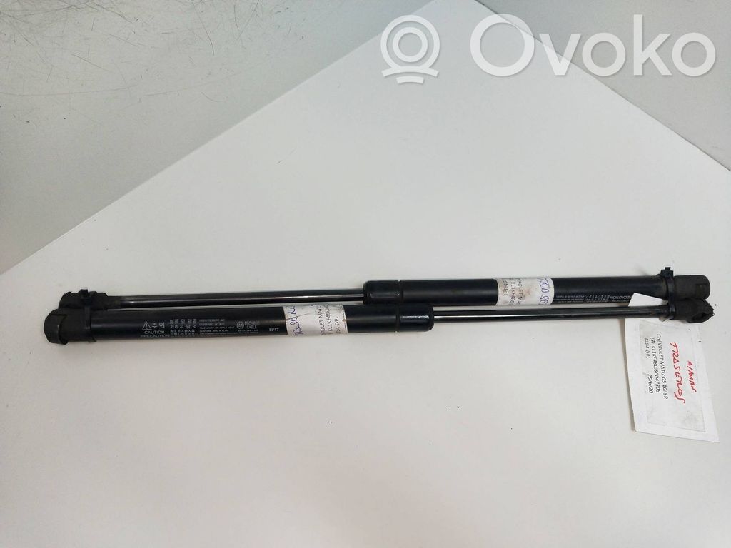 Tailgate/trunk strut/damper