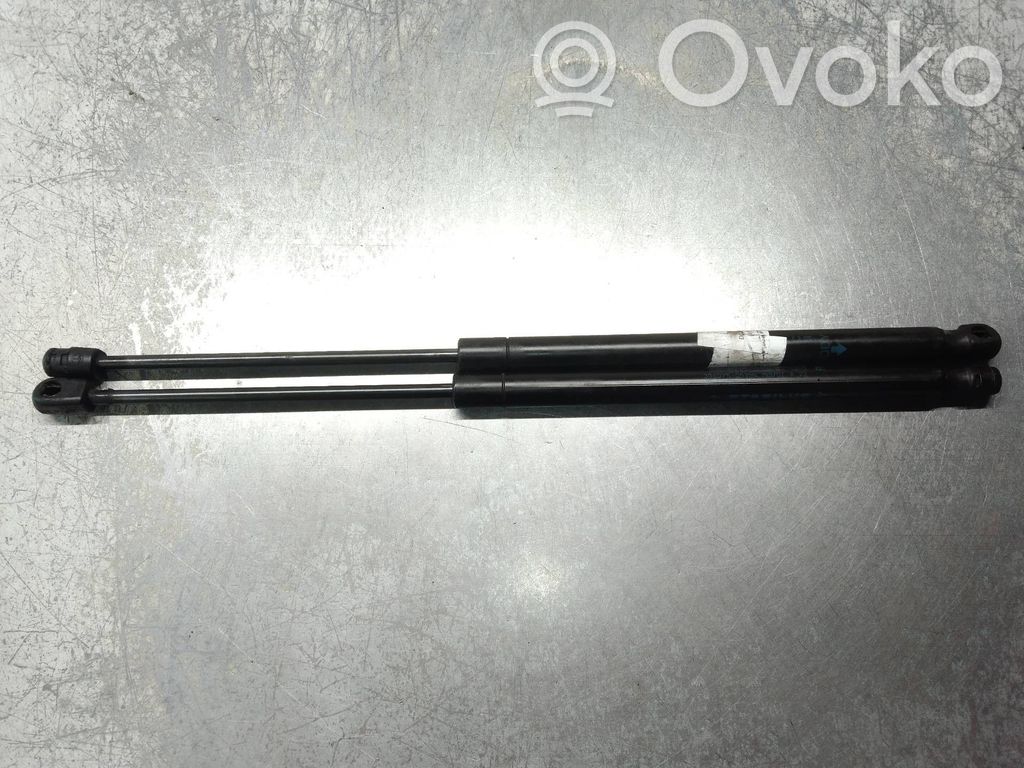 Dodge Caliber Tailgate/trunk strut/damper 