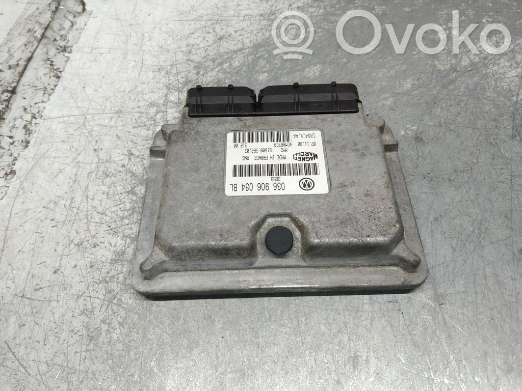 Engine control unit/module   036906034BL,IAW4LVAA,6160056203