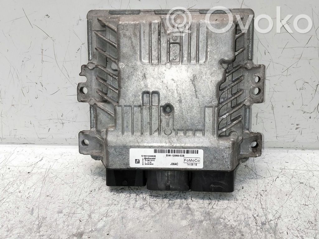 Ford Focus Engine control unit/module 