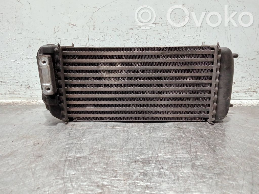 Peugeot 206 Intercooler radiator 