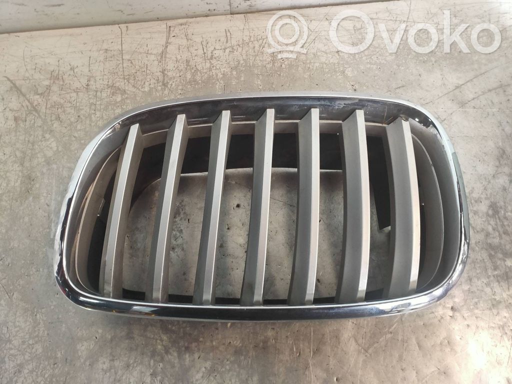 Front grill   51137171395