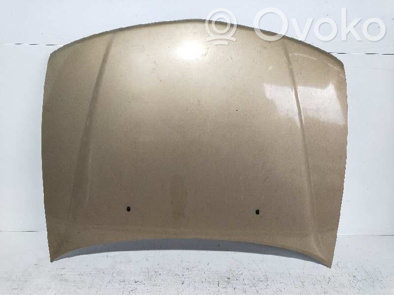 Motorhaube