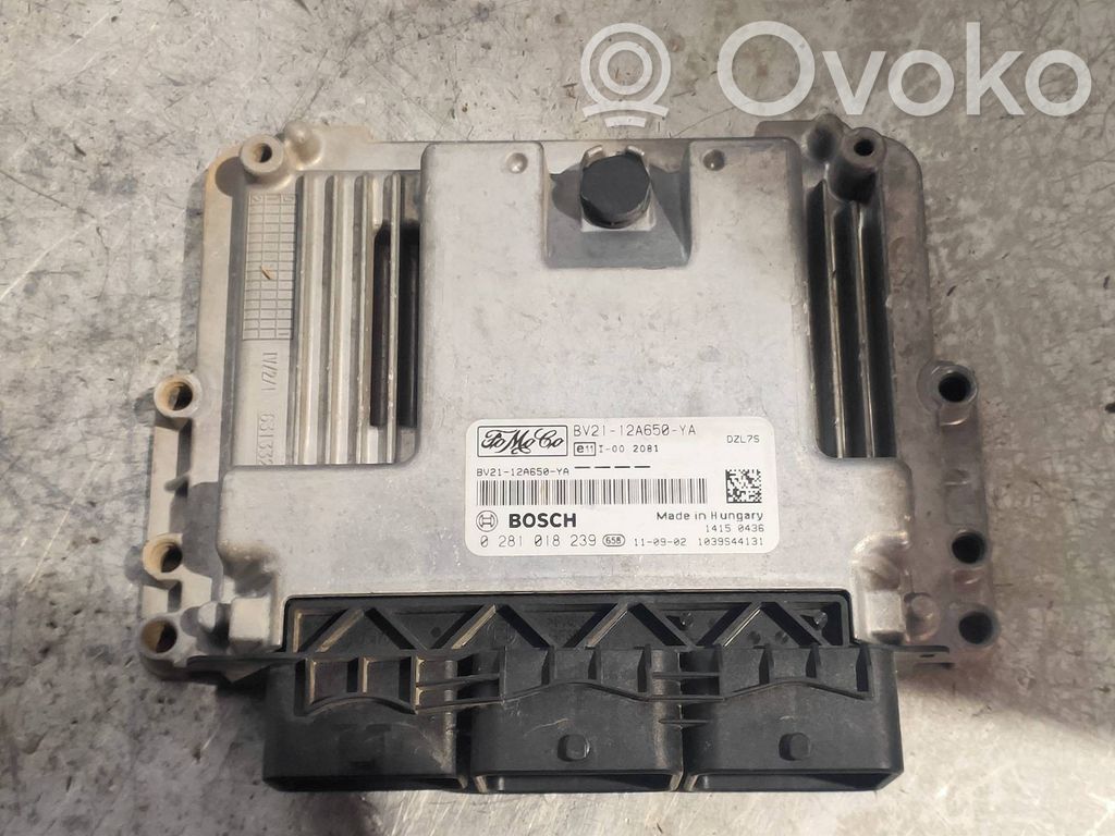 Ford Fiesta Engine control unit/module 