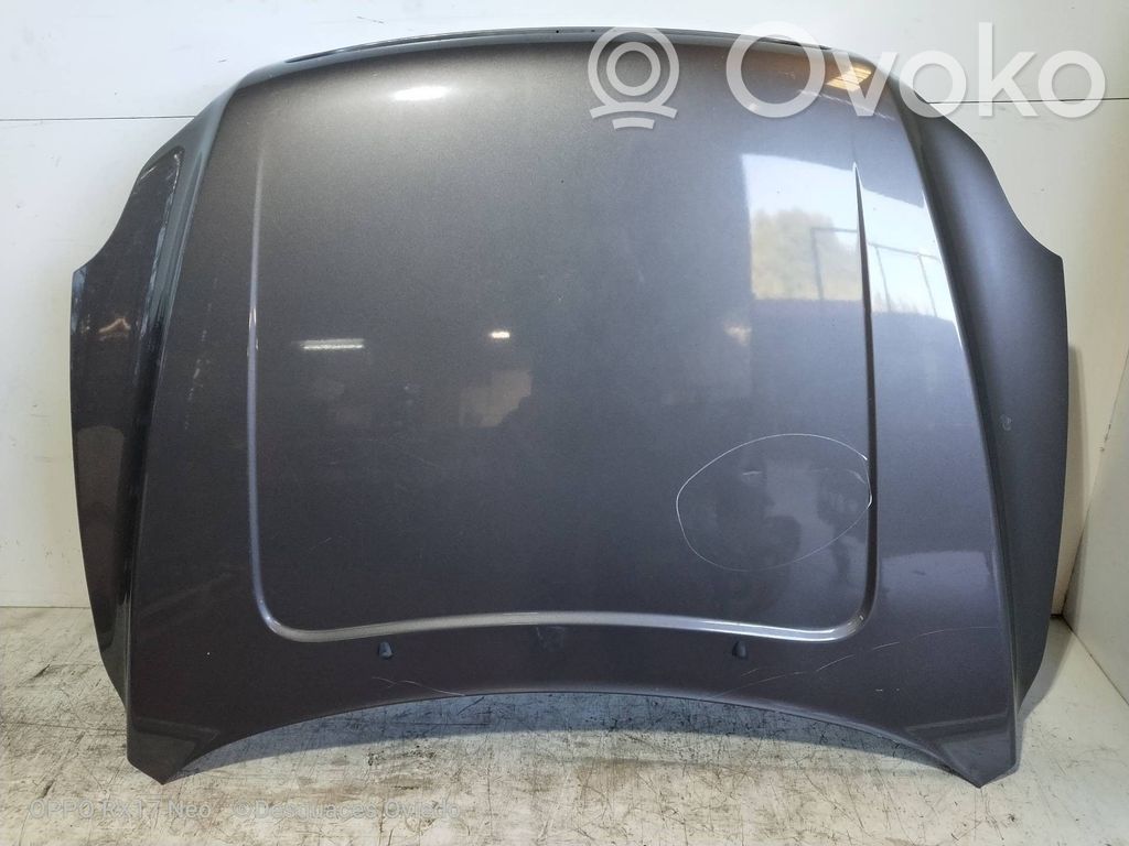 Engine bonnet/hood