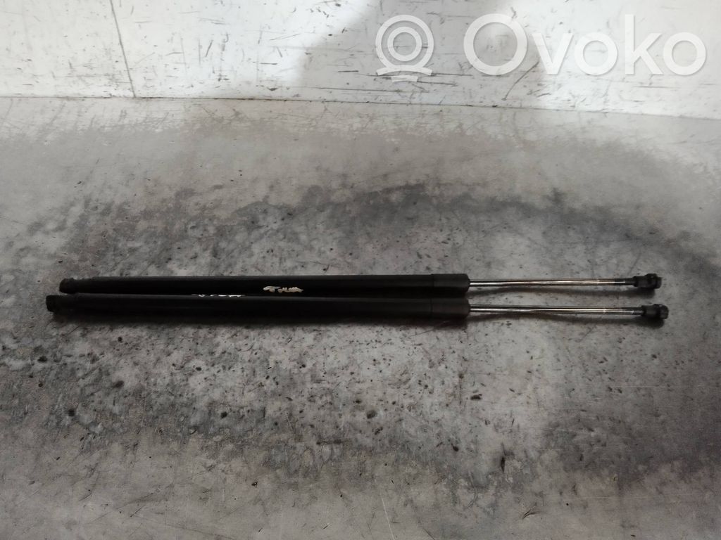 Vérin de capot arrière   904509U00A