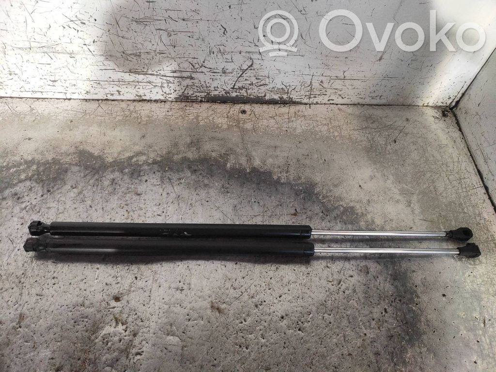 Citroen Evasion Ammortizzatore portellone posteriore/bagagliaio 