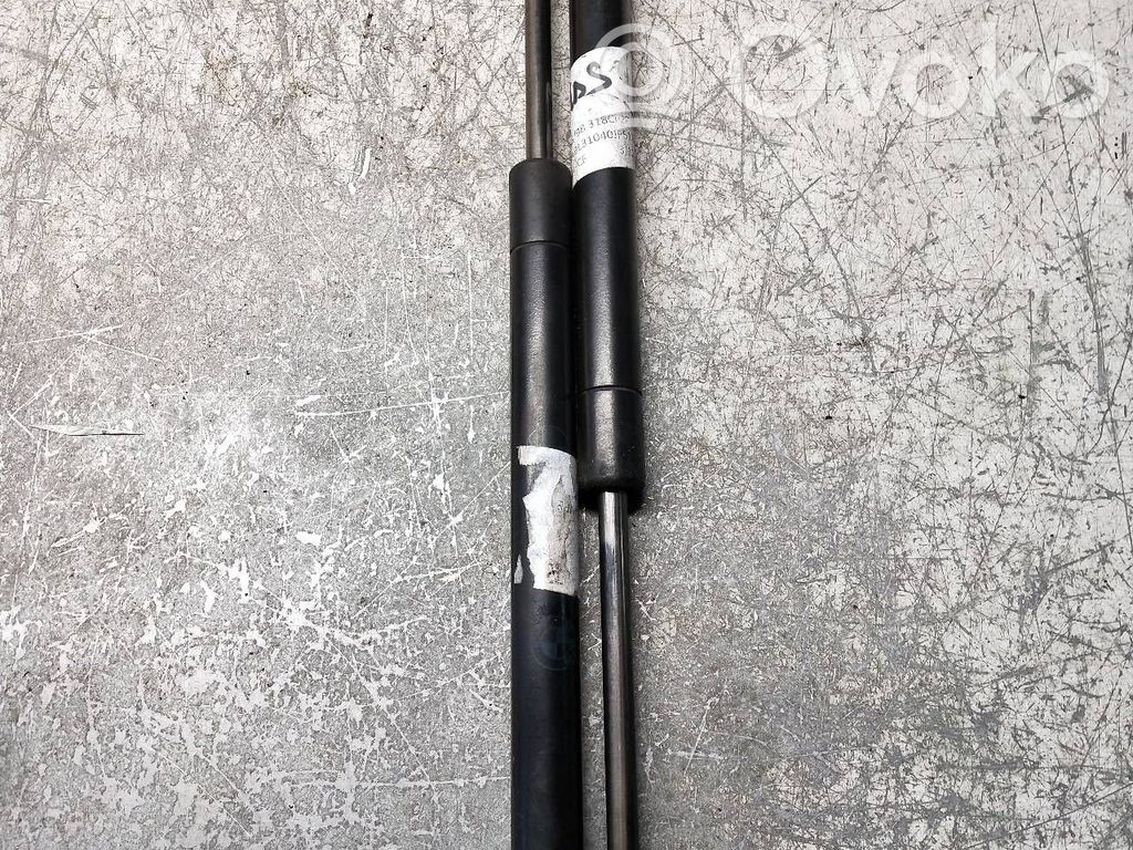 Tailgate/trunk strut/damper   51248254281,320N