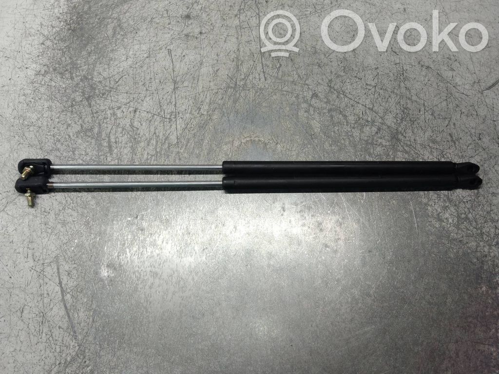 Tailgate/trunk strut/damper   81ABB406A10AB