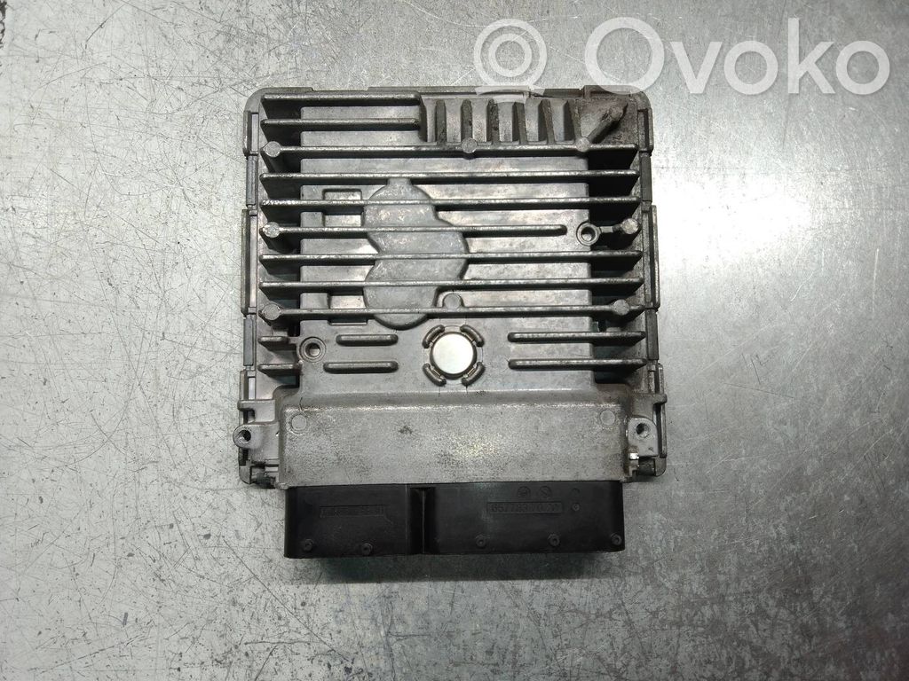 Seat Ibiza III (6L) Engine control unit/module 