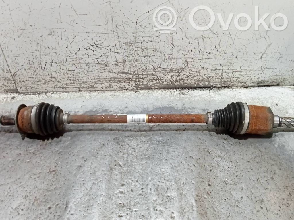 Eje de transmisión trasero   E1G14K138AC