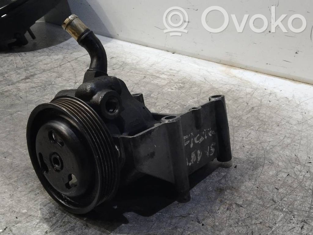 Ford Fiesta Power steering pump 