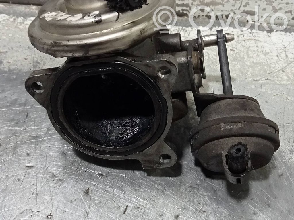 Válvula EGR   038129637