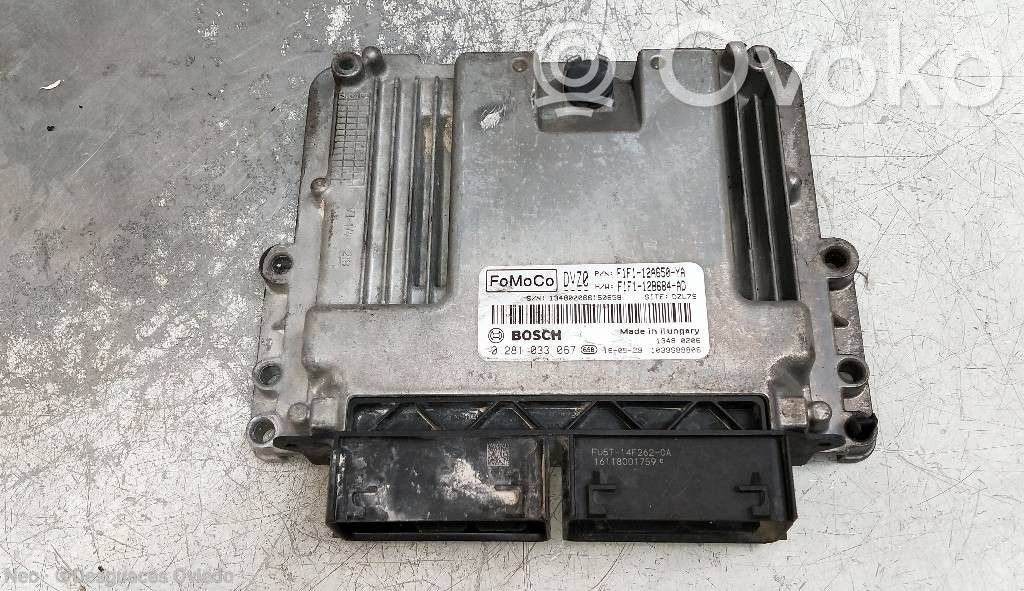 Ford Focus Engine control unit/module 