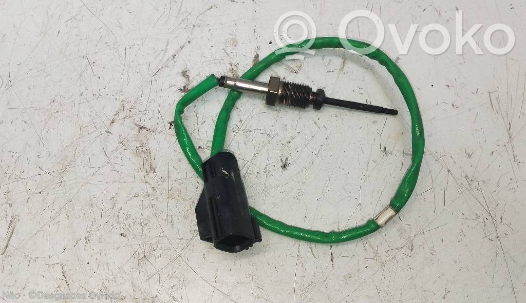 Ford Focus Cita veida sensors 