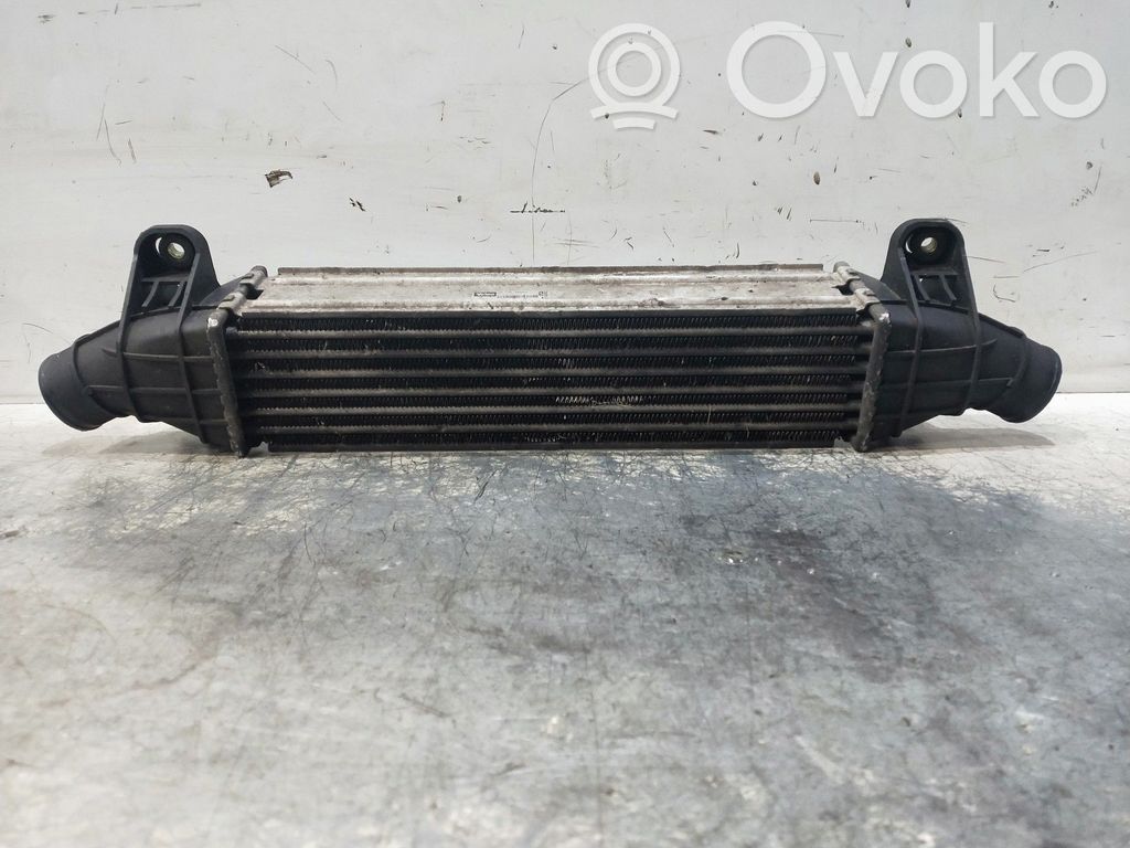Intercooler radiator