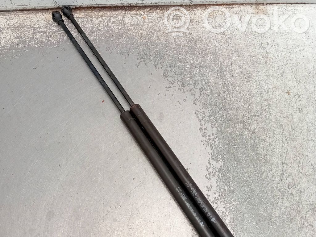 Tailgate/trunk strut/damper   792514,51035104,180N