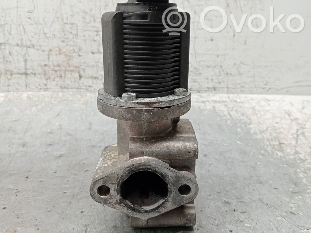 Válvula EGR   55215031