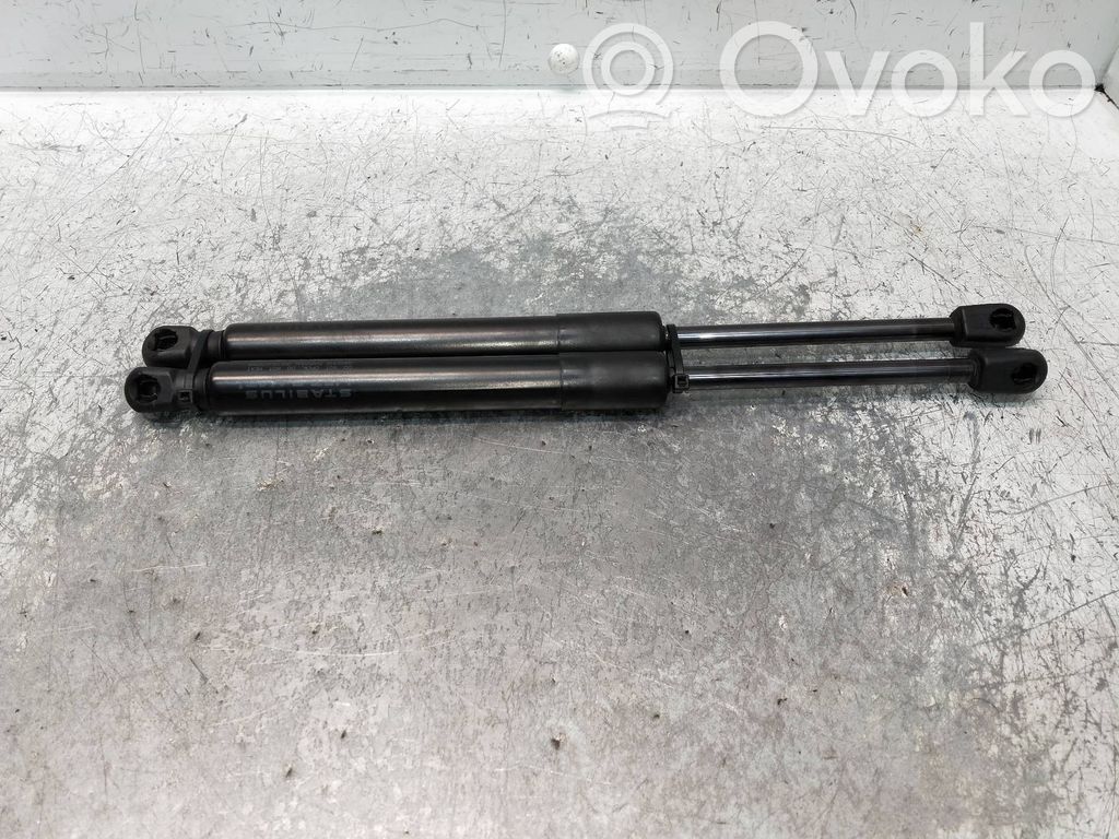 Tailgate/trunk strut/damper   3004550580N,109156000B