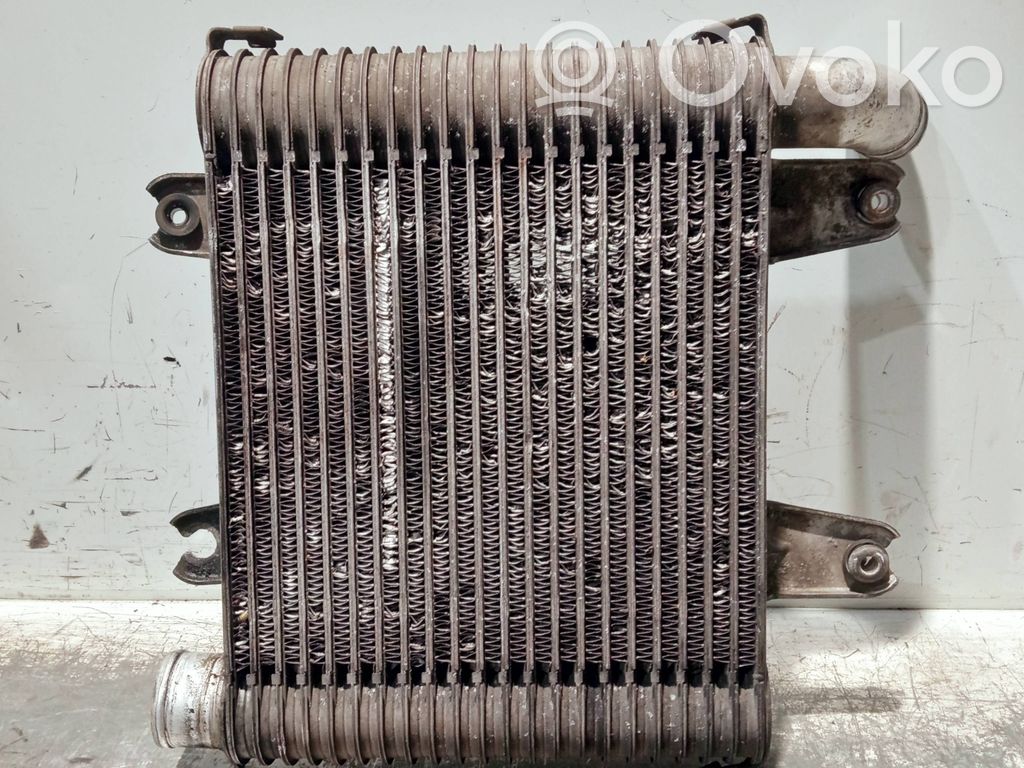 Interkūlerio radiatorius   OK55313550