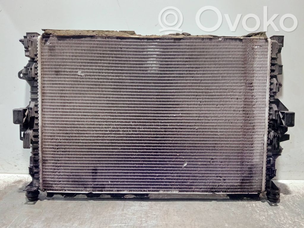 Coolant radiator   6G918005FC